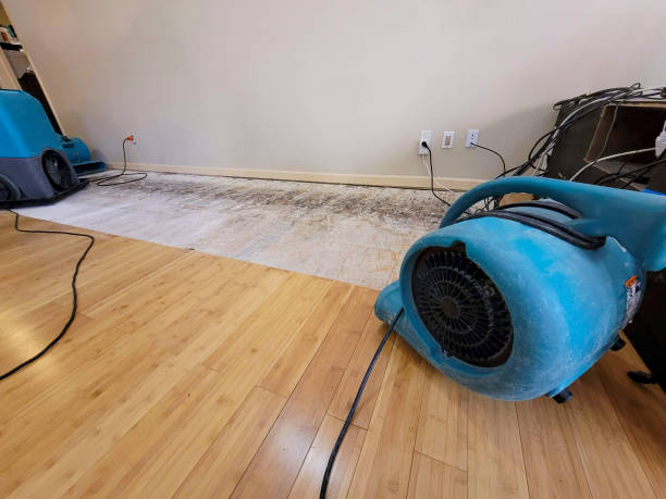 Professional Burst Pipe Water Damage technician working in Dry Ridge, KY